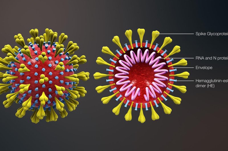 Hình ảnh virus Corona